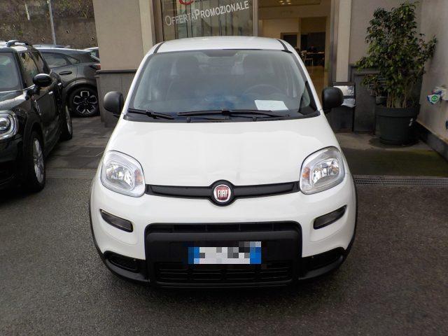 FIAT Panda MY25 - 1.0 FireFly Hybrid ICON