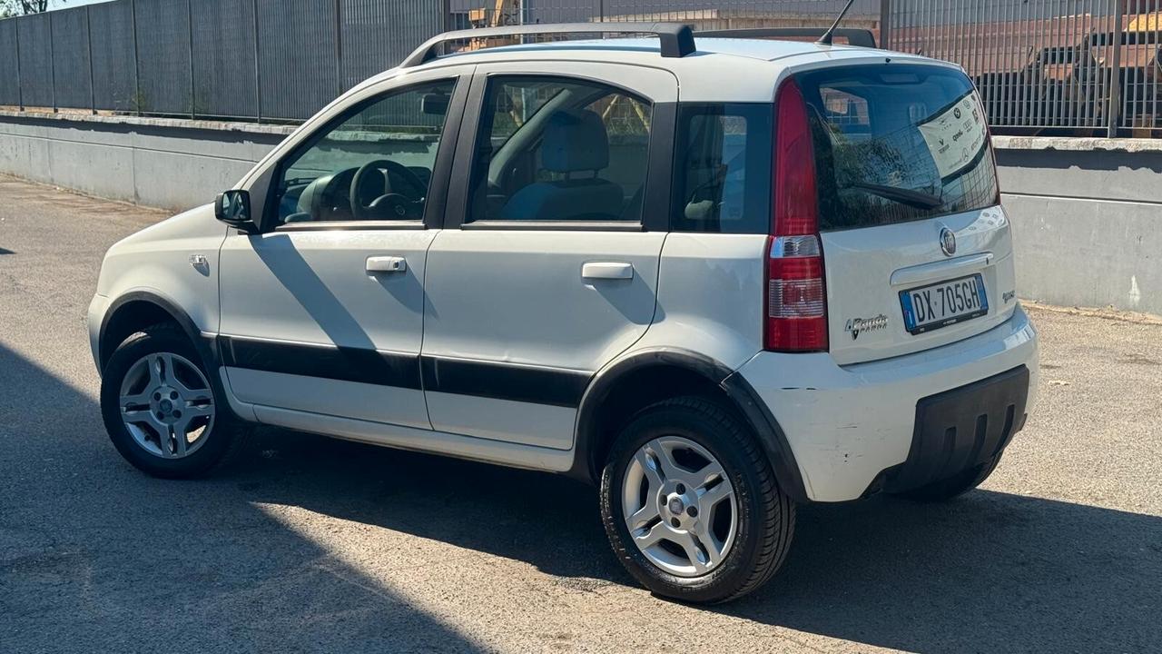 Fiat Panda 1.2 Climbing Natural Power
