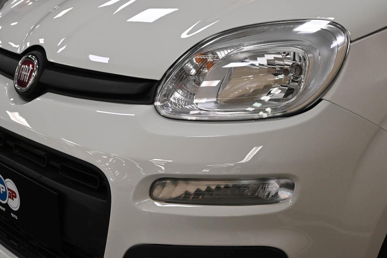 FIAT Panda 3ª serie Panda 1.0 FireFly S&S Hybrid