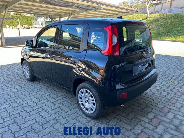 FIAT Panda PROMO FINANZ 1.0 HYBRID +PACK ICON KM 0