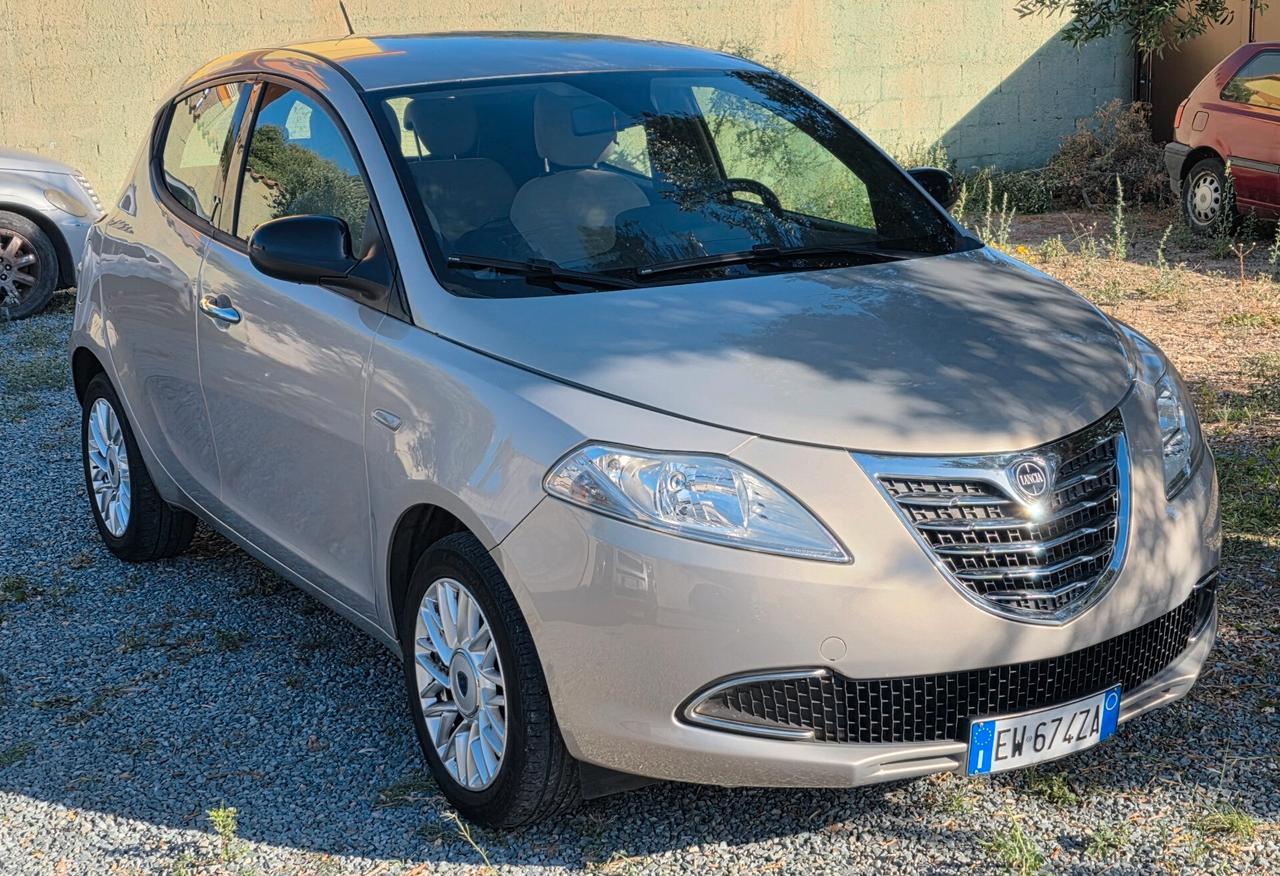 Lancia Ypsilon 1.2 69 CV 5 porte Gold
