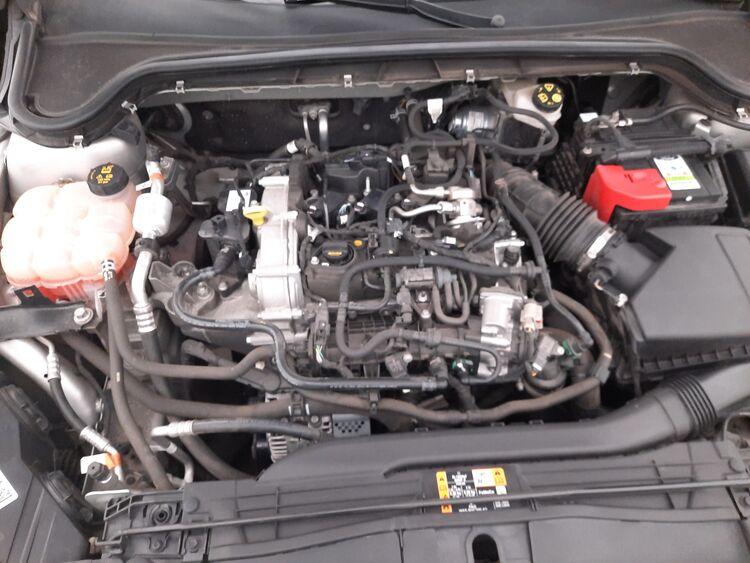 Ford Focus Hybrid Business BR898646 1.0 Mild Hybrid 125CV