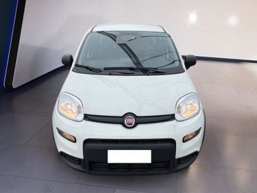 FIAT Panda My23 1.0 70cv Hybrid Panda