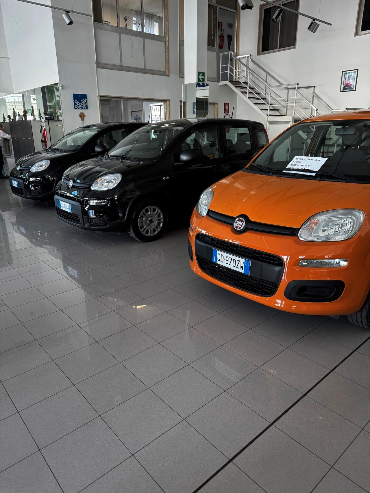 FIAT - PANDA 1.2 -BZ FULL OTIONAL