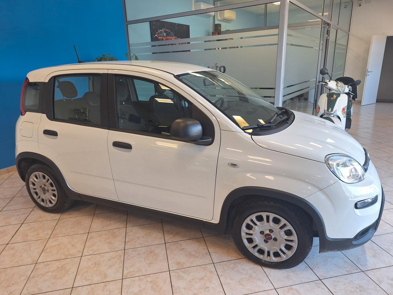 Fiat Panda 1.0 FireFly S&S Hybrid City Life