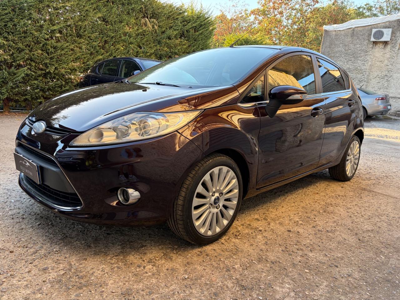 Ford Fiesta 1.4 TDCi 5p. Titanium