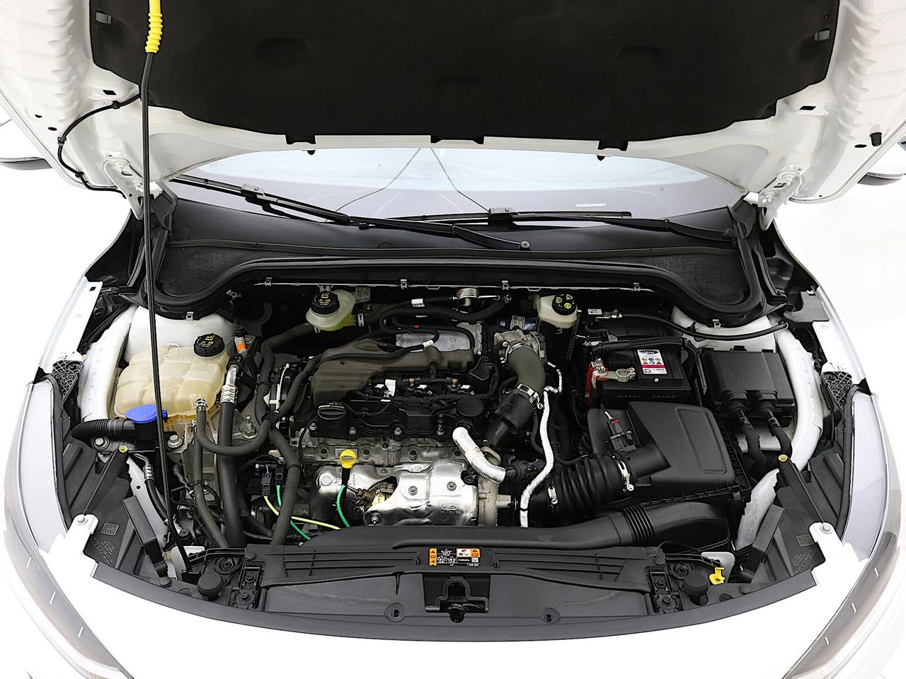 Ford Focus 1.5 EcoBlue 115 CV auto 5p. ST-Line X