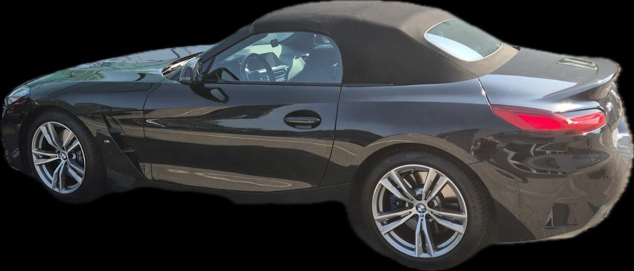 Bmw Z4 sDrive30i Msport *IN ARRIVO