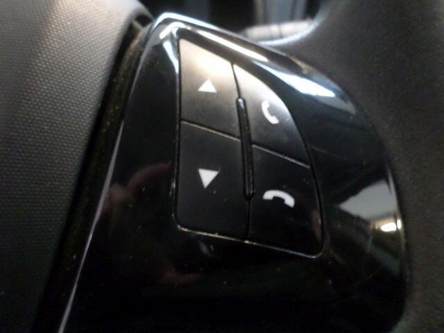 Fiat Doblo Doblò 1.3 MJT PL-TN Cargo MAXI Lamierato SX Euro6