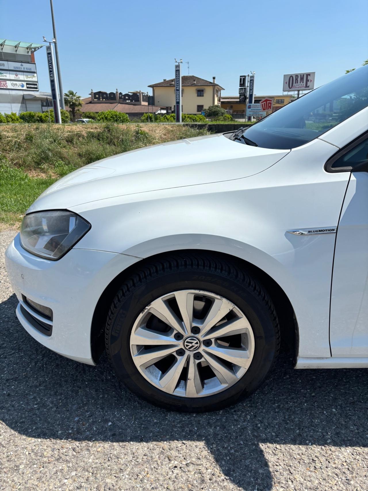 Volkswagen Golf Business 1.4 TGI 5p. Comfortline BlueMotion Solo per export