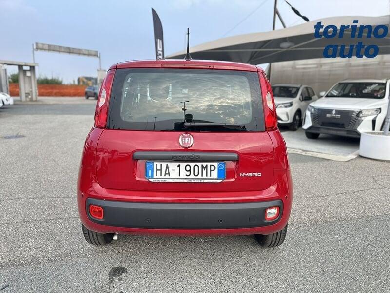 FIAT Pandina Pandina 1.0 firefly hybrid Icon s&s 70cv