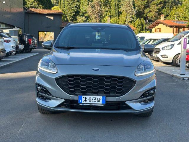 FORD Kuga 1.5 EcoBlue 120 CV 2WD ST-Line