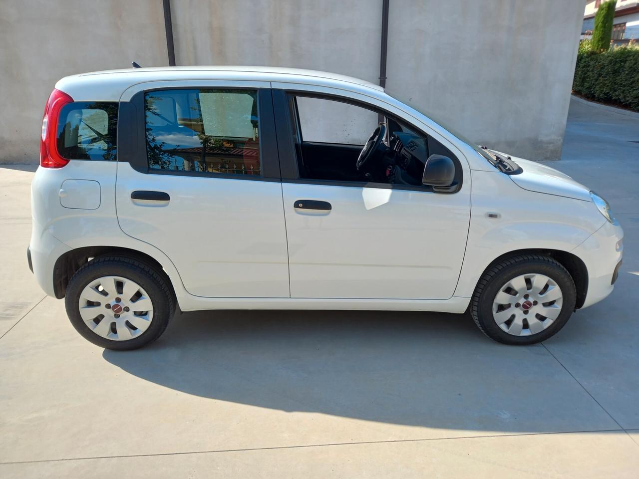 Fiat Panda 1.2 Easy 2018 (DISP. ANCHE 4X4)