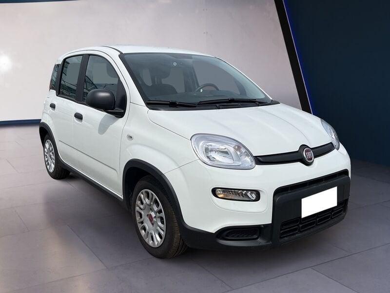 FIAT Panda My23 1.0 70cv Hybrid Panda