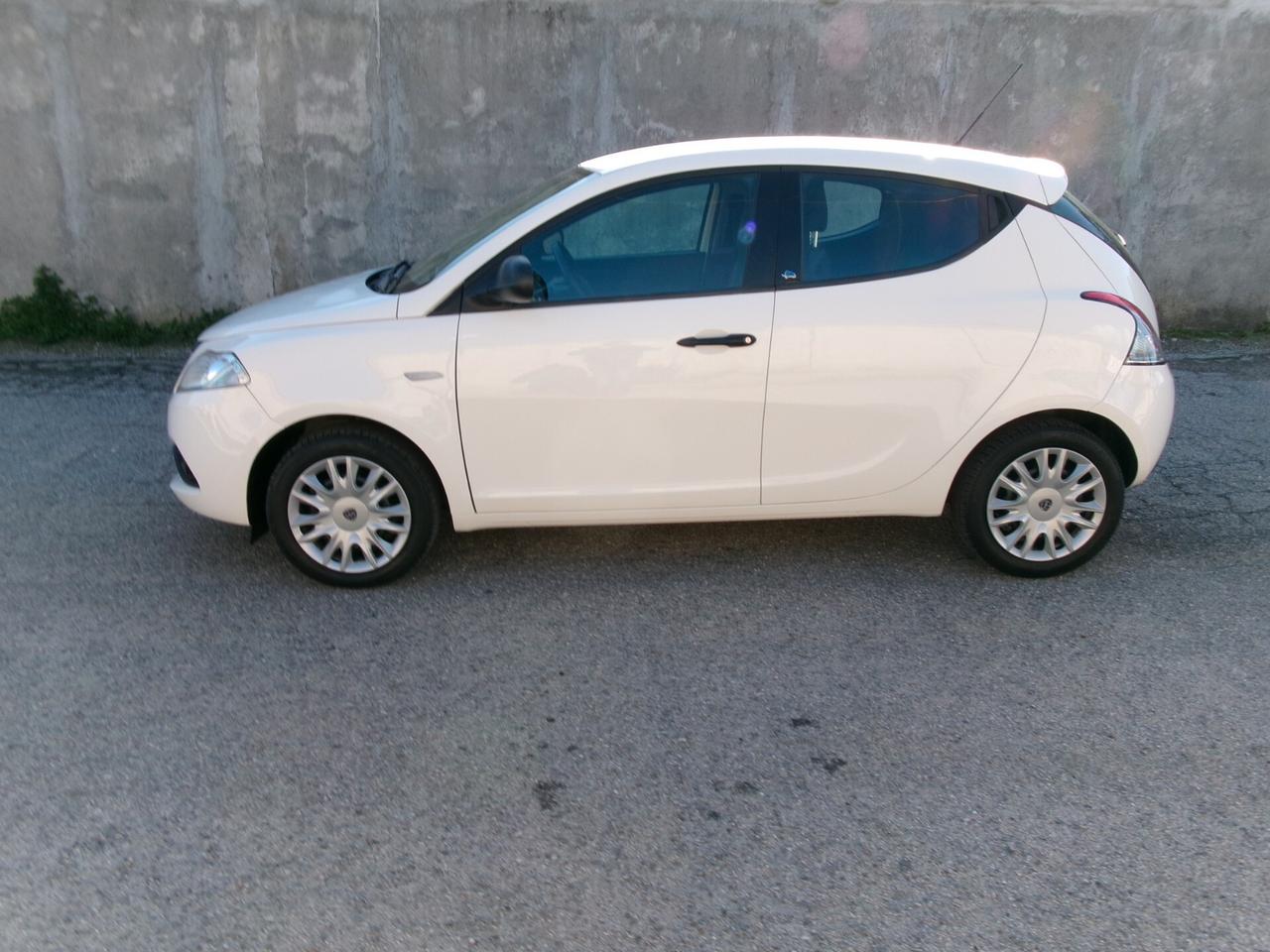 Lancia Ypsilon 1.2 69 CV 5 porte GPL Ecochic Elefantino Blu