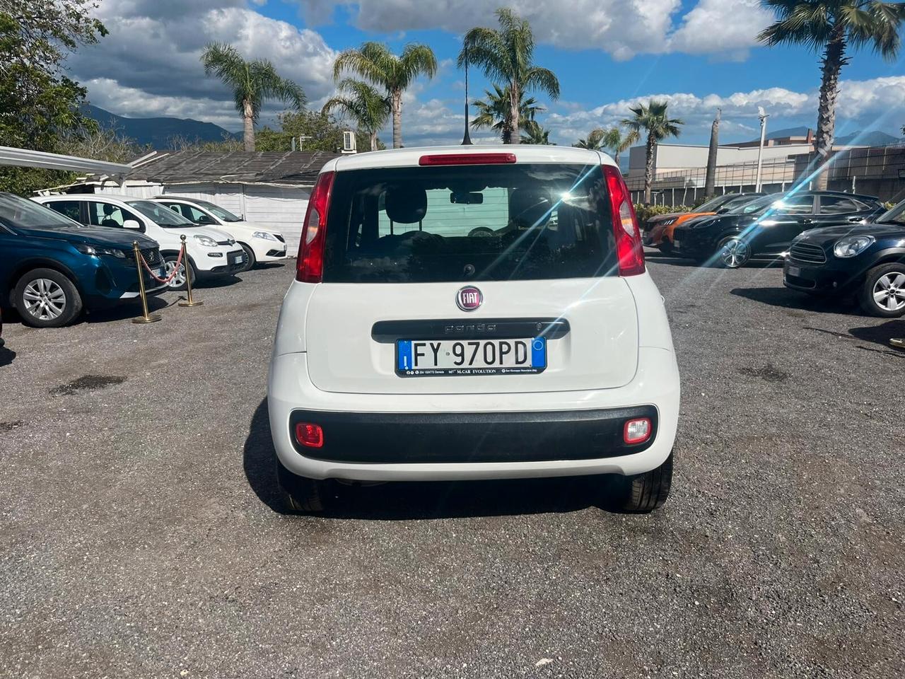 Fiat Panda 1.2 Benz 2019