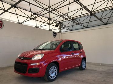 FIAT Panda III 2021 - Panda 1.0 firefly hybrid s&s 70cv