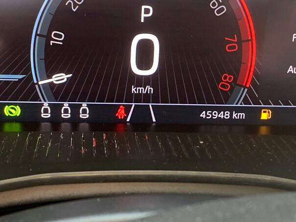 Skoda Kamiq 1.0 TSI 110 CV DSG Style
