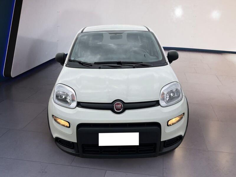 FIAT Panda III 2021 1.0 firefly hybrid s&s 70cv