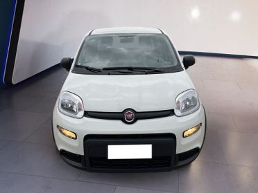 FIAT Panda III 2021 1.0 firefly hybrid s&s 70cv