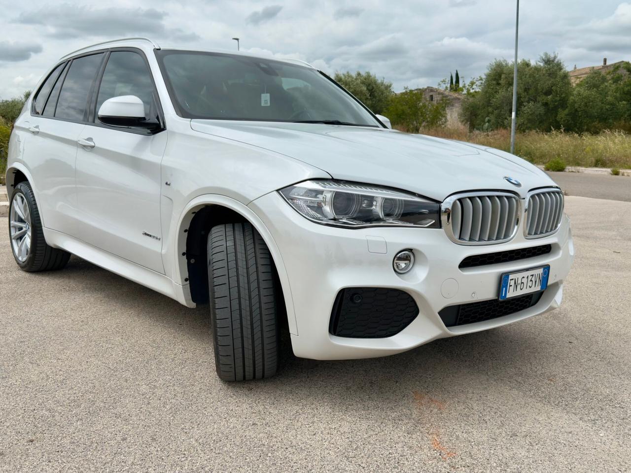 Bmw X5 xDrive25d