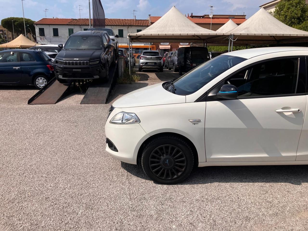 LANCIA YPSILON 1.2 69cv 5 Porte Elefantino