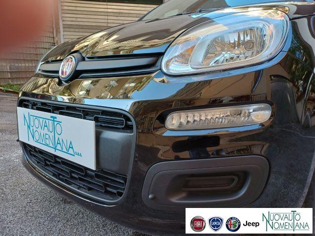 FIAT Panda 1.0 FireFly S&S Hybrid Icon 5°Posto Auto Nuova