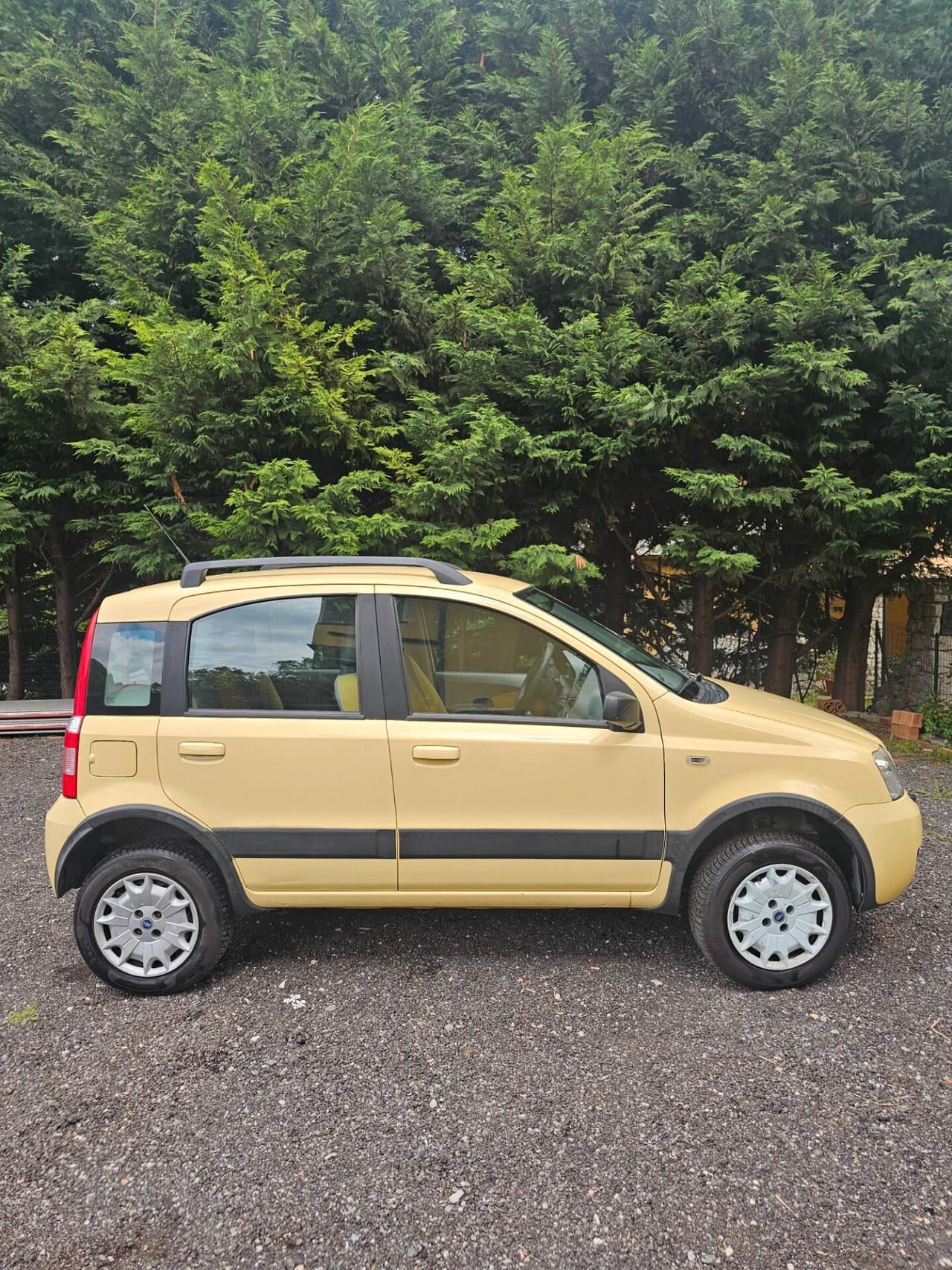 Fiat Panda 4X4 1.2 Benzina
