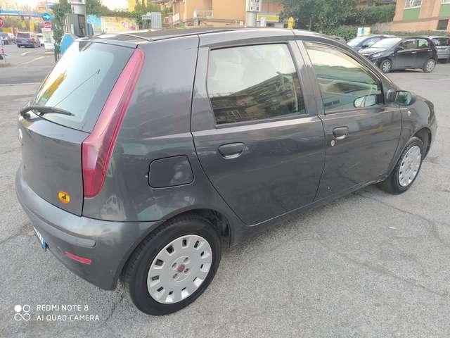 Fiat Punto Punto 5p 1.2 Classic Active