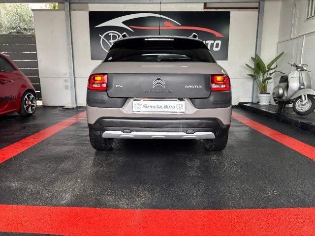 CITROEN C4 Cactus BlueHDi 100 Rip Curl