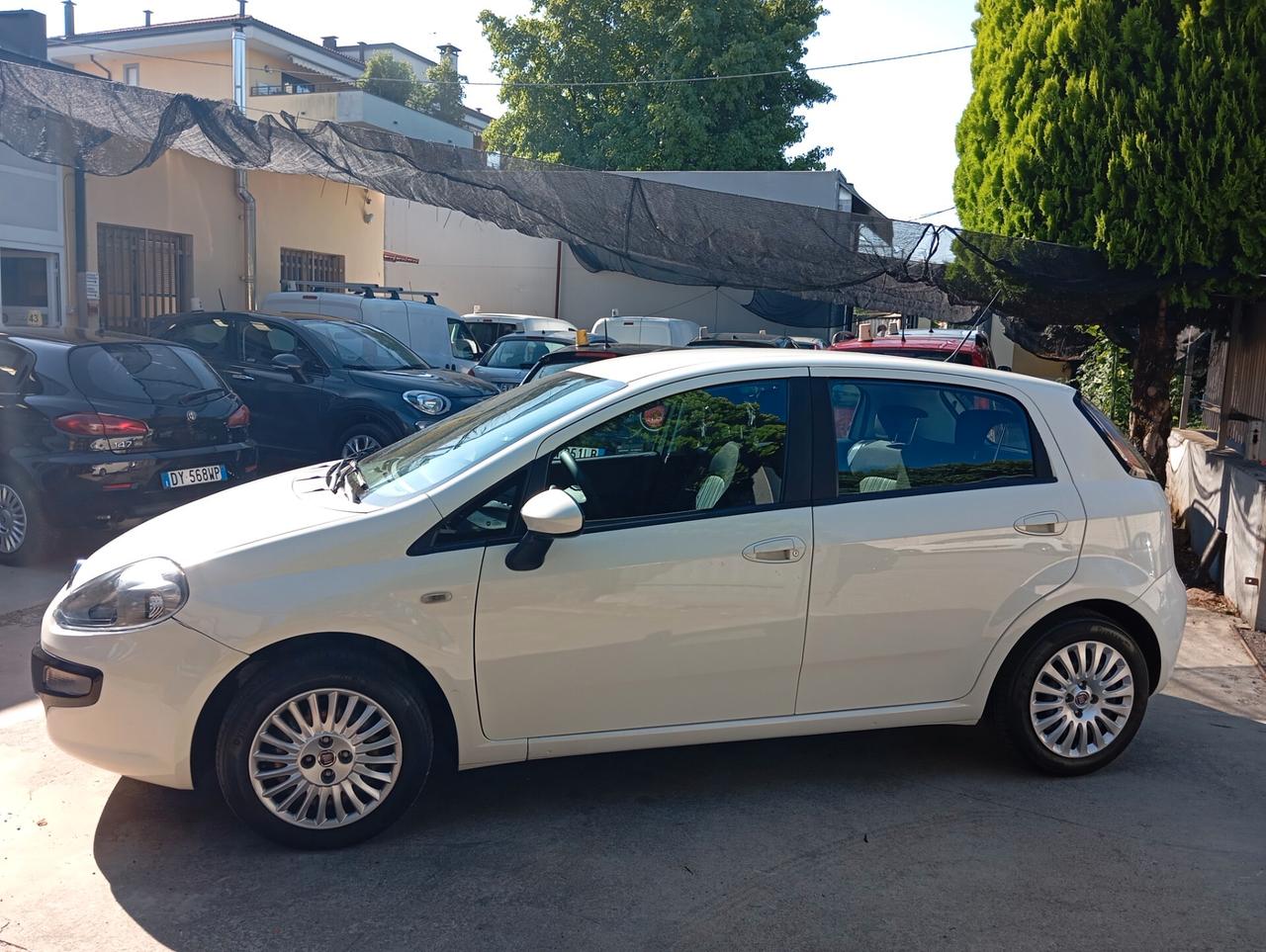 Fiat Punto Evo Punto Evo 1.2 5 porte PERMUTE
