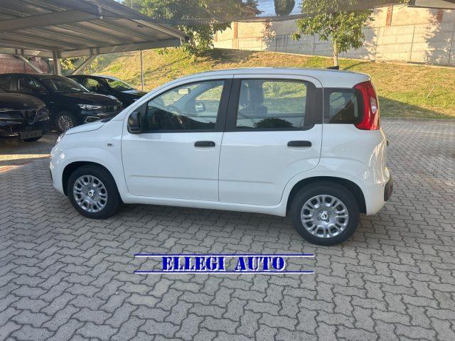 FIAT Panda 1.0 HYBRID 5 POSTI +PACK CITY KM 0