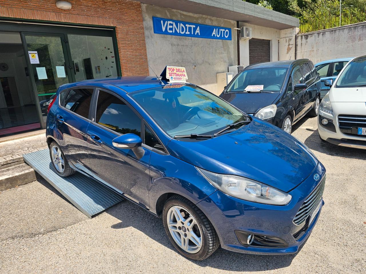Ford Fiesta 1.5 TDCi 75CV 5 porte Black & White Edition