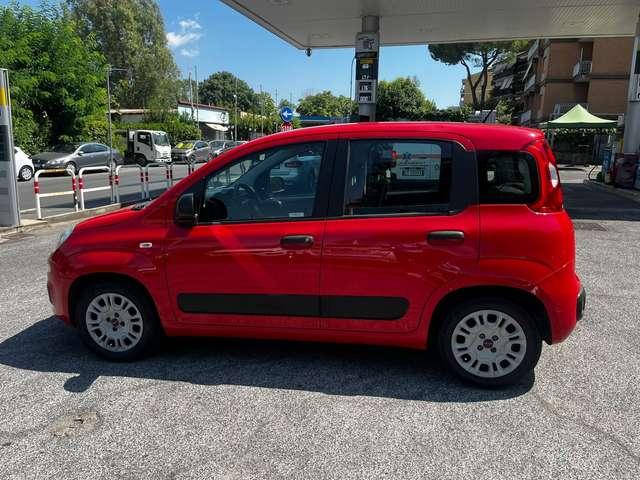 Fiat Panda Panda III 2016 1.2 Easy easypower Gpl 69cv