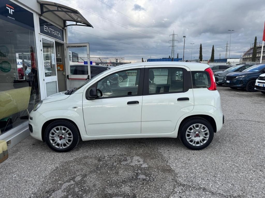 FIAT Panda III 2021 - Panda 1.0 firefly hybrid s&s 70cv