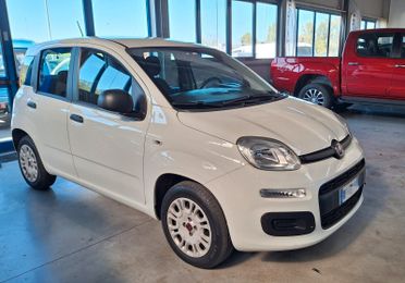 Fiat Panda 1.2 Easy NEOPATENTATI POCHI KM