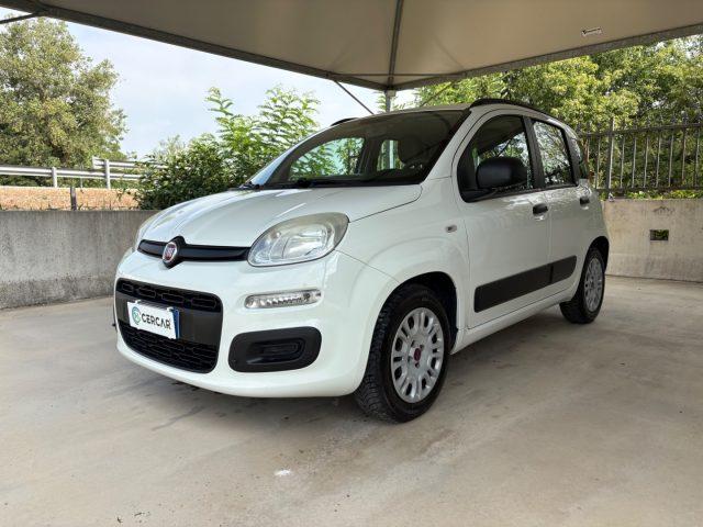 FIAT Panda 1.2 Easy EURO 5 BENZ OK NEOPATENTATI PRONTA CONS.