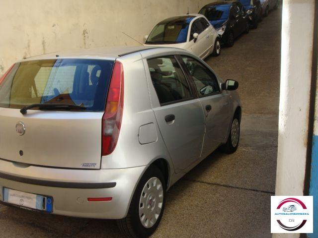 FIAT - Punto - Classic 1.2 5p. Active