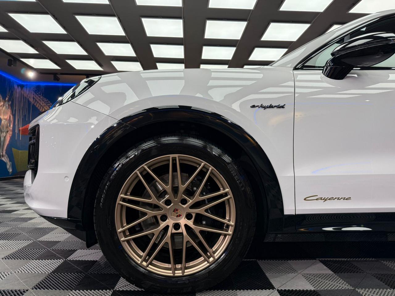Porsche Cayenne 3.0 V6 E-Hybrid (483)