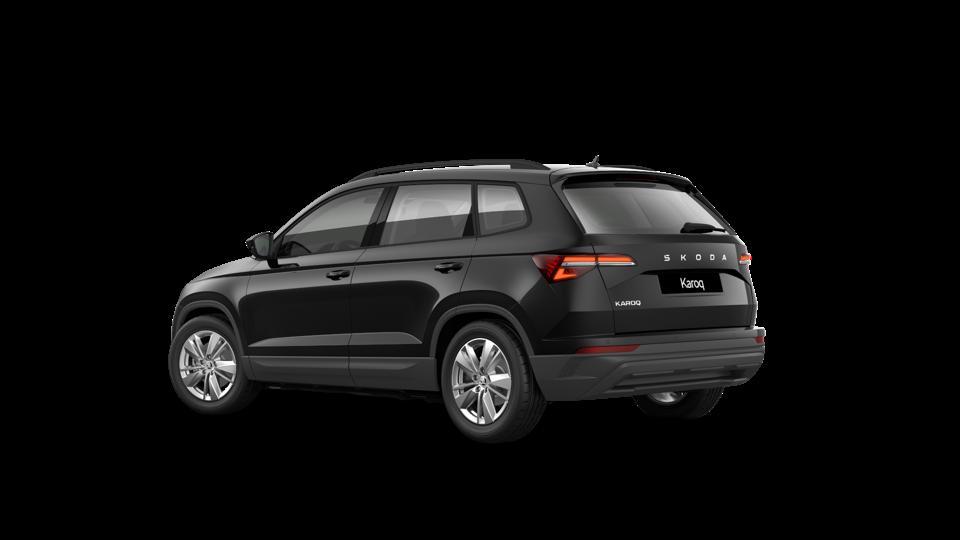 Skoda Karoq 2.0 tdi evo Executive 115cv