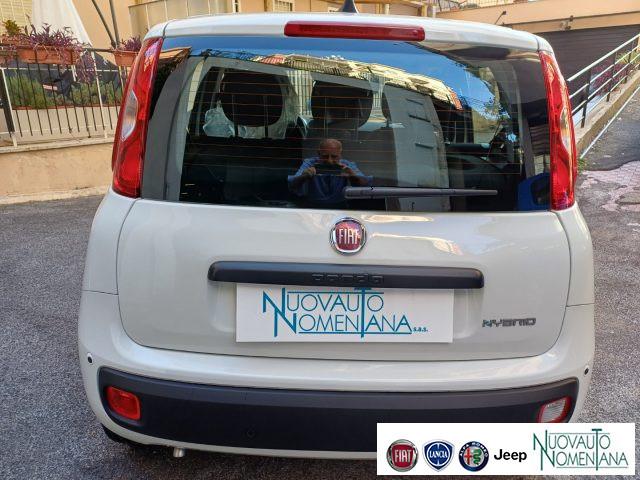 FIAT Panda 1.0 FireFly S&S Hybrid Icon 5°Posto Auto Nuova