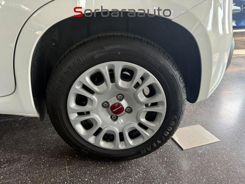 FIAT Panda Panda 1.0 firefly hybrid s&s 70cv