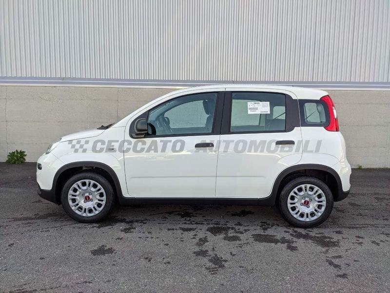 FIAT Panda My23 1.0 70cv Hybrid Panda