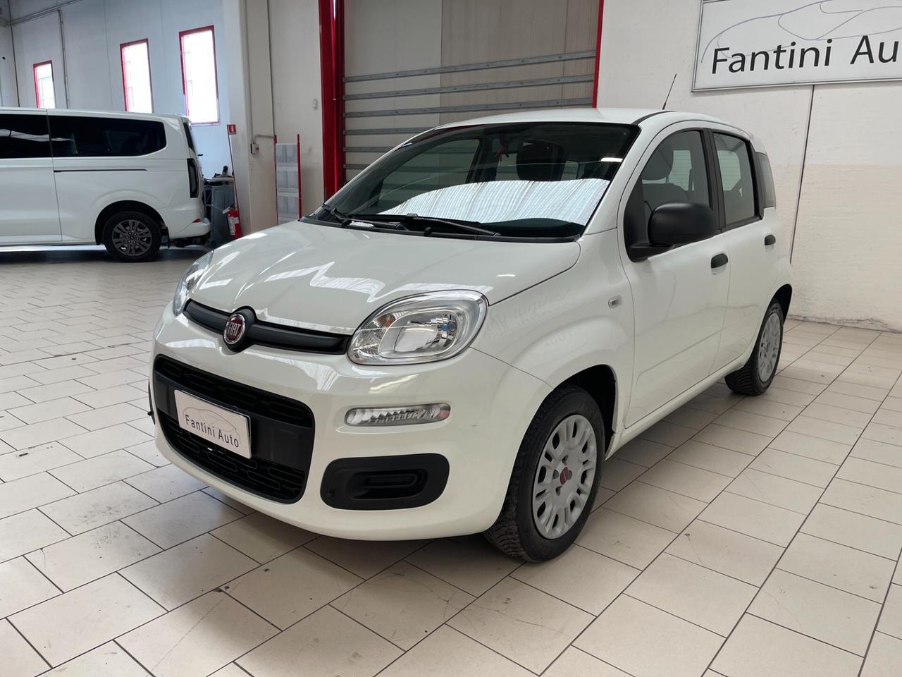 Fiat Panda Easy 1.2 easypower Gpl 69cv-Ok Neopatentati-LEGGI SOTTO