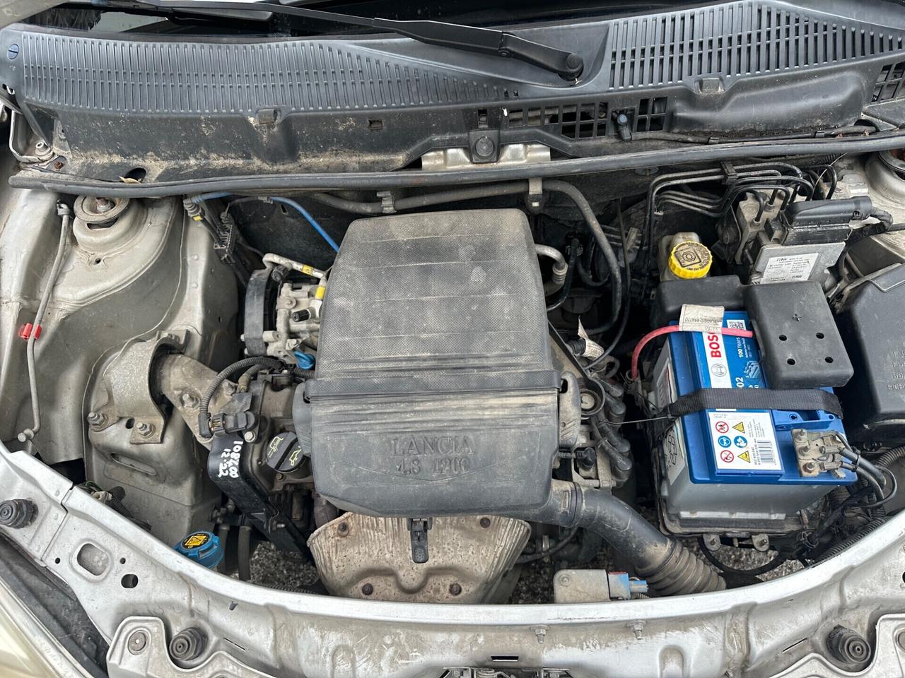 Lancia Ypsilon 1200 benz 2006 neopatentati