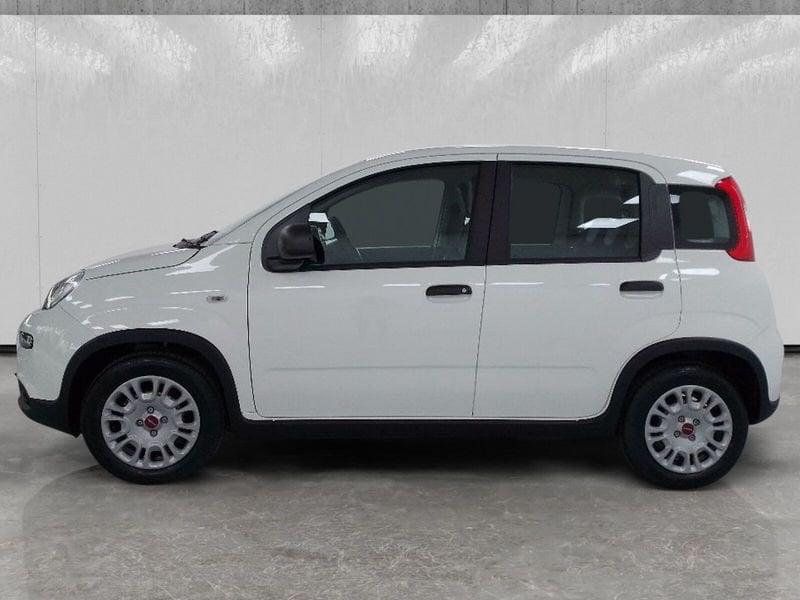 FIAT Panda 1.0 firefly hybrid s&s 70cv 5p.ti
