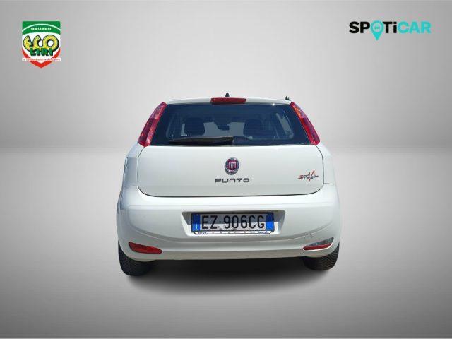 FIAT Punto 1.3 MJT II 75 CV 5 porte Street