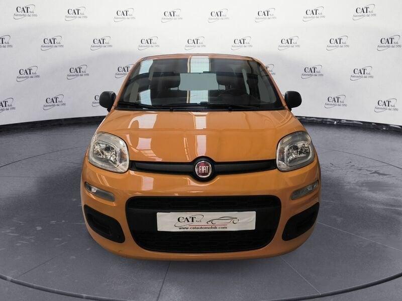 FIAT Panda Panda 1.2 Easy (PREZZO REALE)