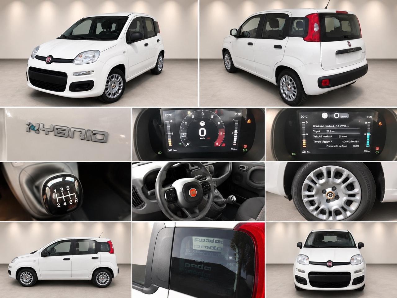 Fiat Panda Pandina 1.0 FireFly 65 CV Hybrid Pop
