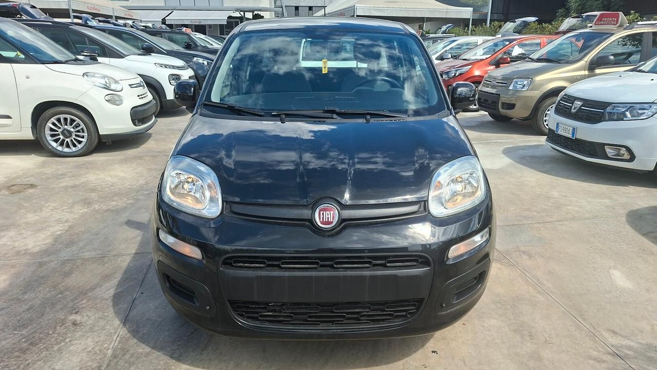 Fiat Panda 1.2 BENZINA 2019